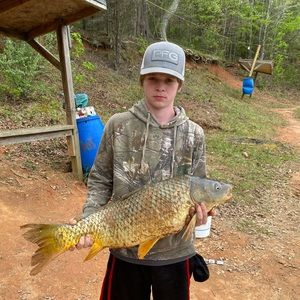 Meet your Posher, Donald